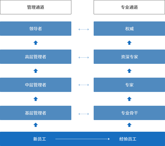 新澳门今晚开彩结果