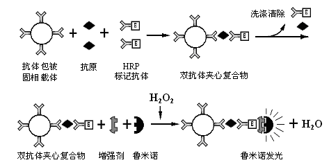 新澳门今晚开彩结果