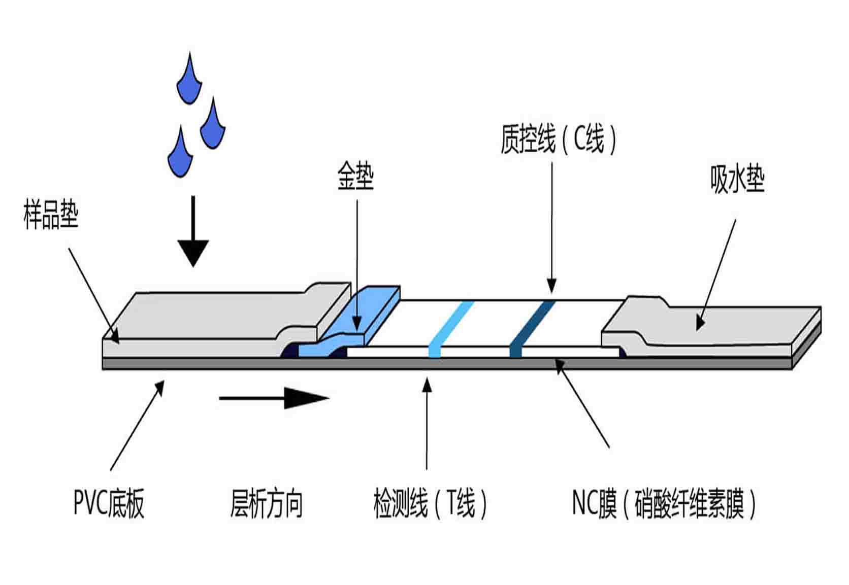 新澳门今晚开彩结果